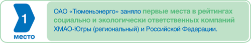 «Тюменьэнерго»: победы года
