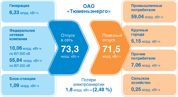 Баланс электроэнергии по ОАО «Тюмень­энерго» в 2009 г.