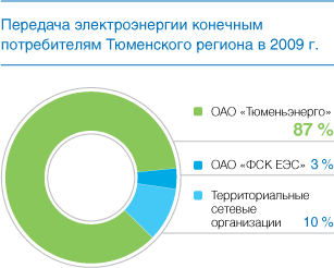 Передача электроэнергии конечным потребителям Тюменского региона в 2009 г.
