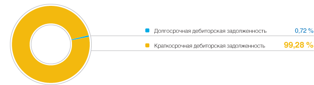 Структура дебиторской задолженности на 31.12.2009 г.