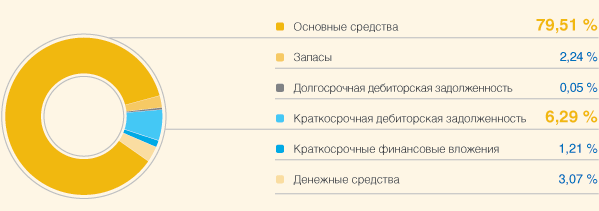 Структура активов на 31.12.2009 г