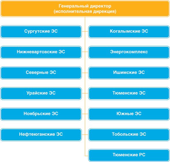 Организационная структура
