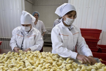 В Югре усовершенствовали электроснабжение птицефабрики и молокозавода