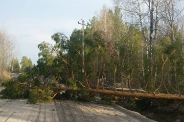 Энергетики полностью устранили последствия непогоды на юге Тюменской области 