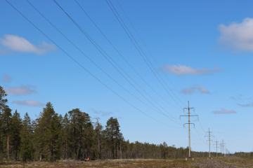 «Россети Тюмень» приступили к расчистке охранных зон трасс ВЛ
