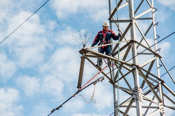 «Россети Тюмень» установят 3 500 устройств для защиты обитающих в Абалакском заказнике птиц 