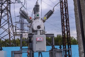 Холдинг МРСК к высадке деревьев в 2012 году готов