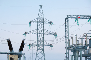 Энергетики установят около 3,5 тысяч птицезащитных устройств в Тюменском макрорегионе