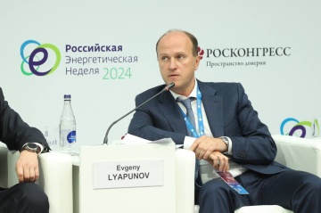 «Россети» рассказали на РЭН о развитии технической политики сетевого комплекса