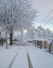 «Россети» ликвидируют последствия снежных циклонов в Новгородской и Ростовской областях