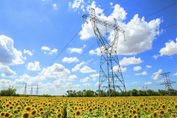  «Россети» обработали свыше двух тысяч заявок на портале «Светлая страна»