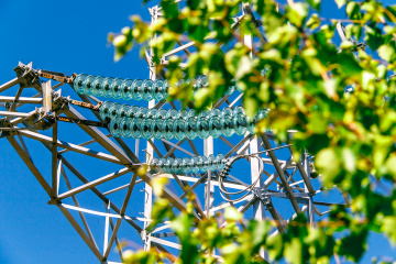 Около 250 млн рублей вложат «Россети Тюмень» в защиту энергокомплекса от лесных пожаров