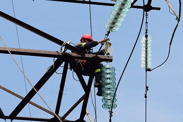 Энергетики установят около 3 тысяч птицезащитных устройств в Тюменском макрорегионе