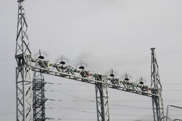 Более 15,5 млн рублей направят энергетики Югры на установку птицезащитных устройств