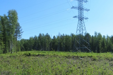 «Россети Тюмень» расчистят более 855 га охранных зон ВЛ на северо-западе Югры