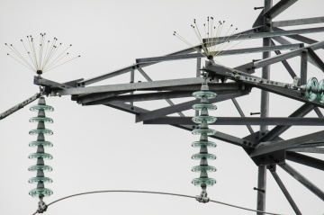 Энергетики направят более 40 млн рублей на защиту исчезающих и редких видов птиц от воздействия электрического тока