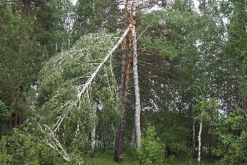 Тюменские энергетики достойно выдержали напор стихии