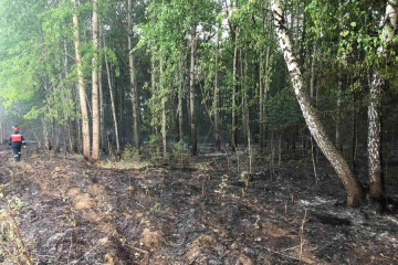 Электроснабжение потребителей в эпицентре лесных пожаров под контролем энергетиков