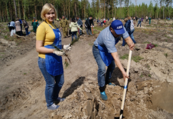 Энергетики восстанавливают леса и сохраняют экологическое равновесие