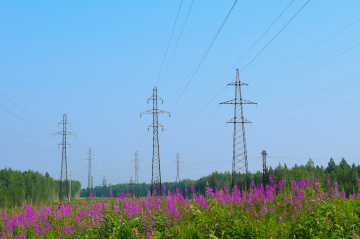 В Тюменской области энергетики выполнили более 50 % ремонтной программы