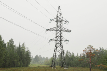 В Тюменской области от опасной растительности расчистят 5000 гектаров охранных зон ЛЭП