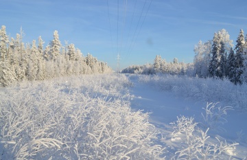 «Россети Тюмень» увеличили финансирование ремонтной кампании в Югре до 2,7 млрд рублей