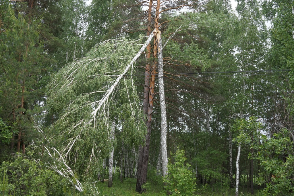 DSC04521((релиз)).JPG
