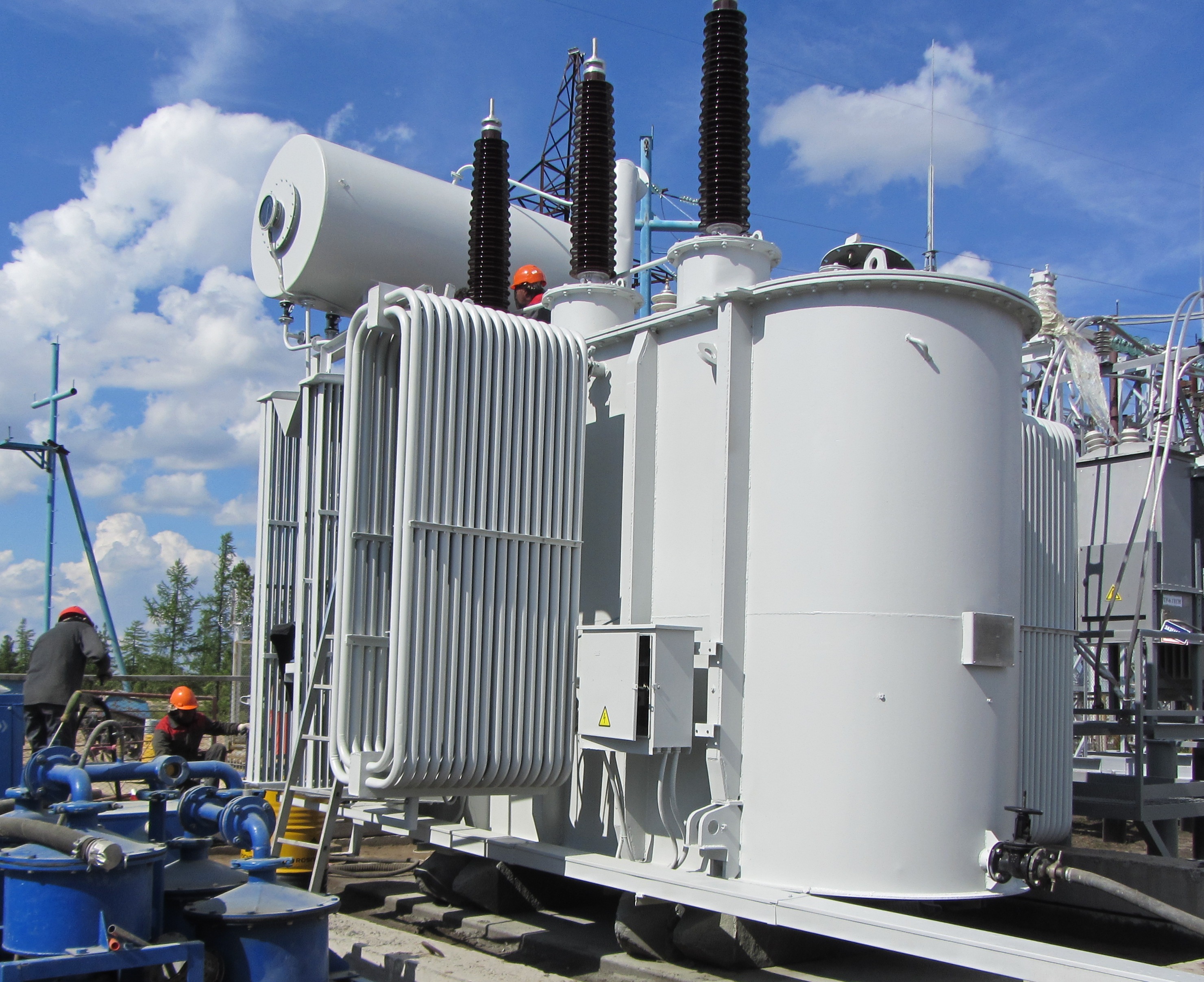 Ноябрьские сети.JPG