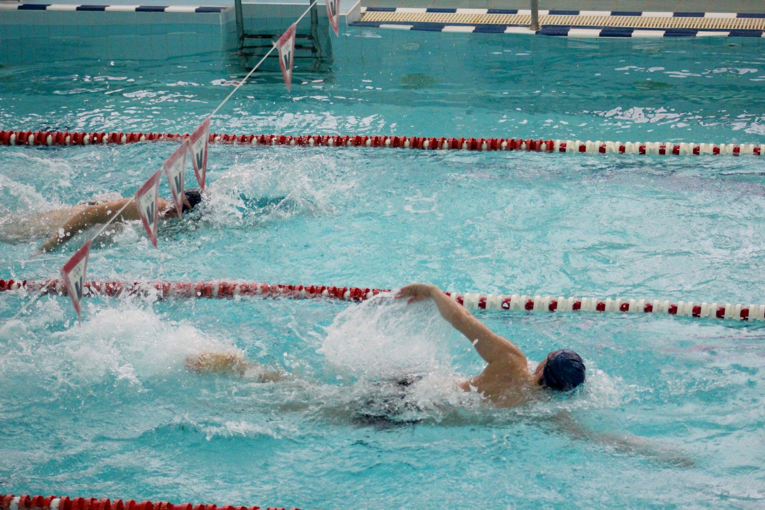 Пловцы_НЮЭС.jpg