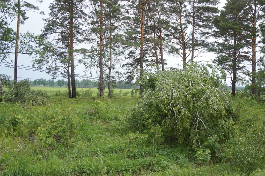 DSC04518(релиз).JPG