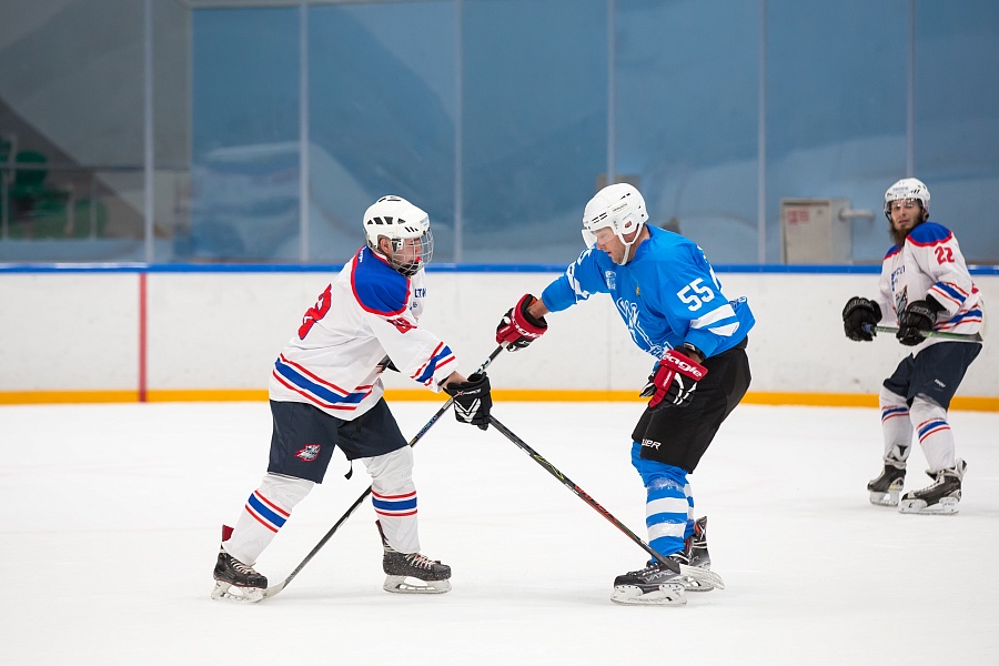 Товарищеский матч по хоккею