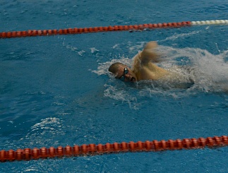 Корпоративная Спартакиада по шахматам и плаванию