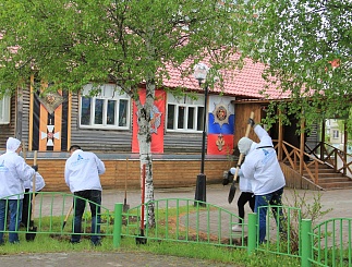 В Сургуте зацветет «Сирень Победы»