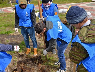 В Сургуте появилась Аллея энергетиков