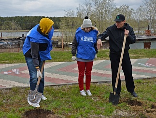 В Сургуте появилась Аллея энергетиков