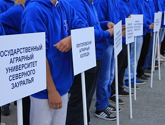 Энергетику не освоить по учебникам: в Тюмени открыт трудовой семестр для студентов-энергетиков