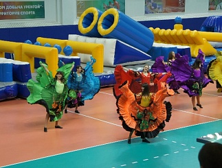 Северные электрические сети: «Экстремалы» против «Детей главного инженера»