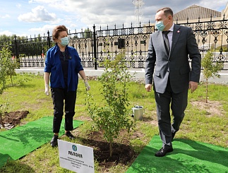 Торжественное открытие "Аллеи памяти и славы" при участии губернатора ХМАО-Югры