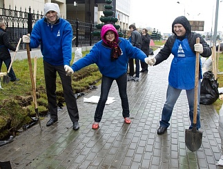 Совет молодежи и единый день высадки деревьев