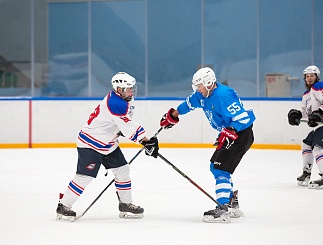 Товарищеский матч по хоккею