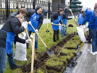 Совет молодежи и единый день высадки деревьев