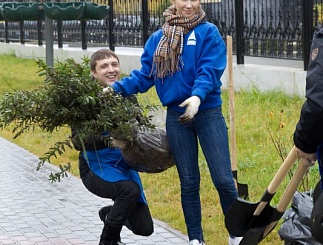 Совет молодежи и единый день высадки деревьев