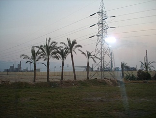 Галерея фотоконкурса «Опора Мира»