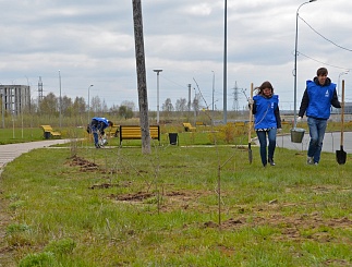 В Сургуте появилась Аллея энергетиков
