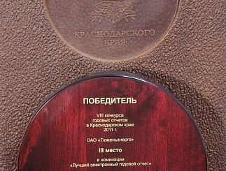 Награда за лучший электронный годовой отчёт