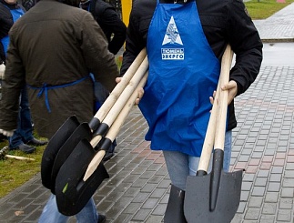 Совет молодежи и единый день высадки деревьев