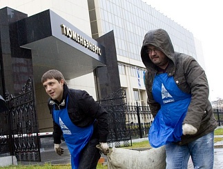 Совет молодежи и единый день высадки деревьев