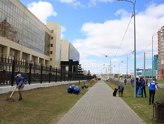 Чистые улицы и дружный коллектив: в «Тюменьэнерго» провели первый в этом году субботник