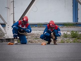 Соревнования профессионального мастерства 2014. День второй